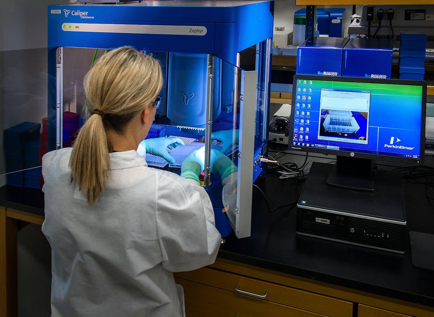 Scientist in a laboratory